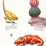 Fauna_1