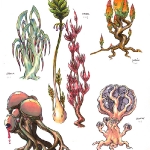 Flora_2